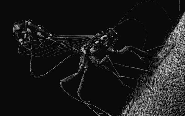 25.09.2025 | Nature et imaginaire, nouvelles œuvres de Phillip Janta