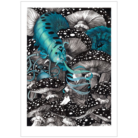 Le conseil de la Chenille