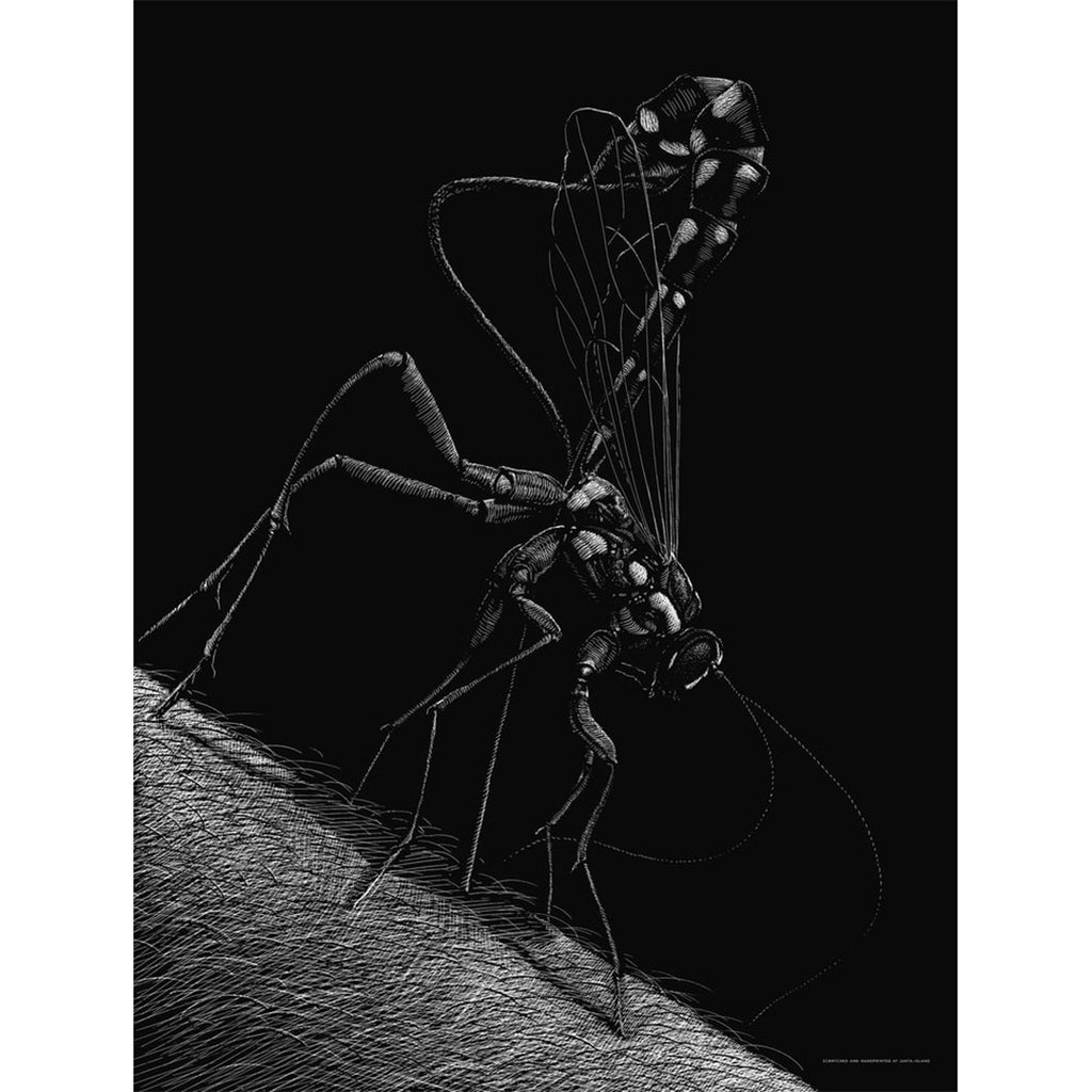 La Guêpe prédatrice