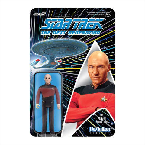 Star Trek: The Next Generation - Captain Picard - Figurine