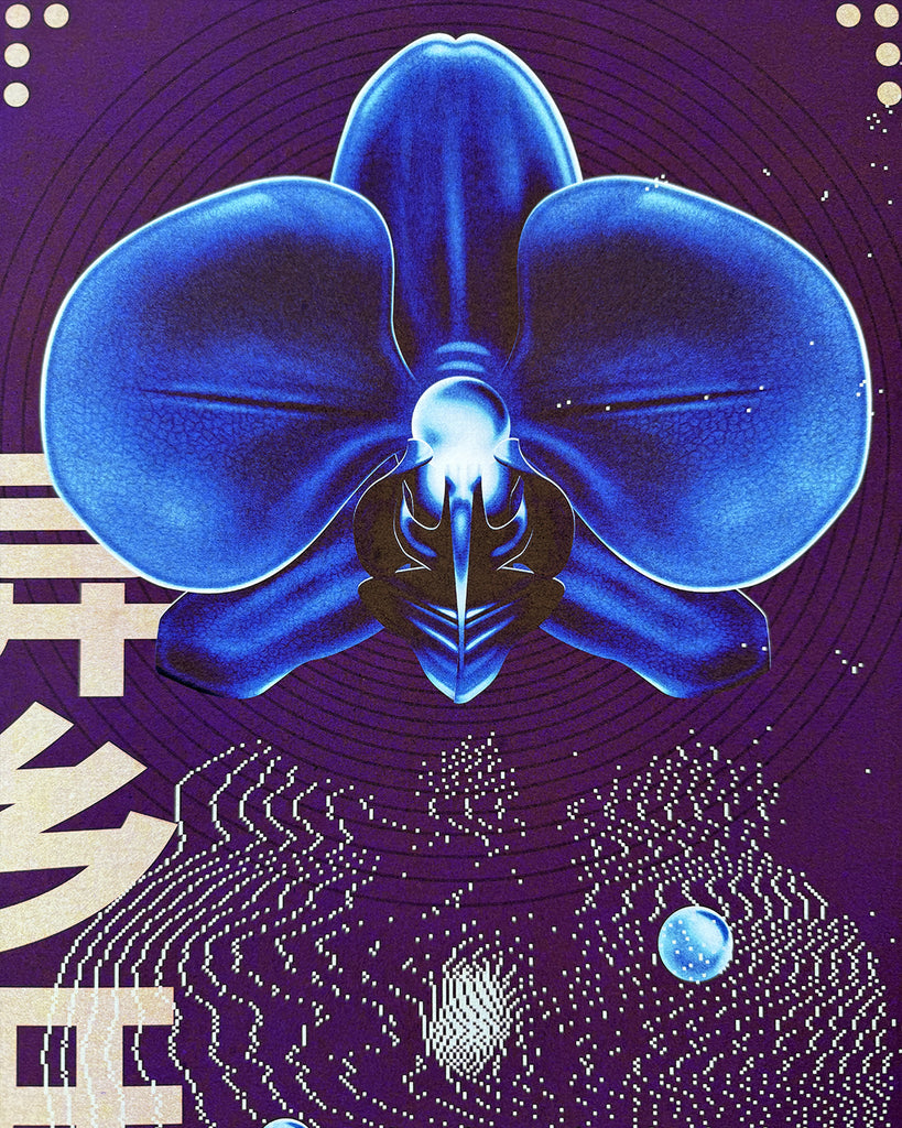 Liorzh × Melina K