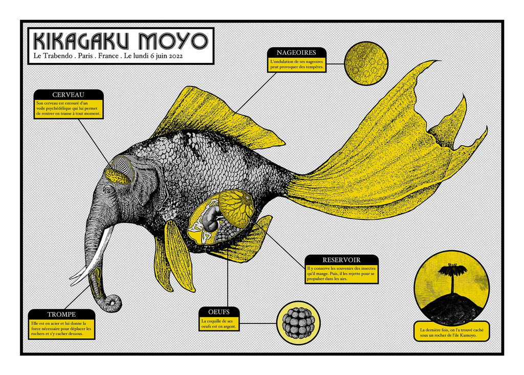 Kikagaku Moyo (Paris 2022)